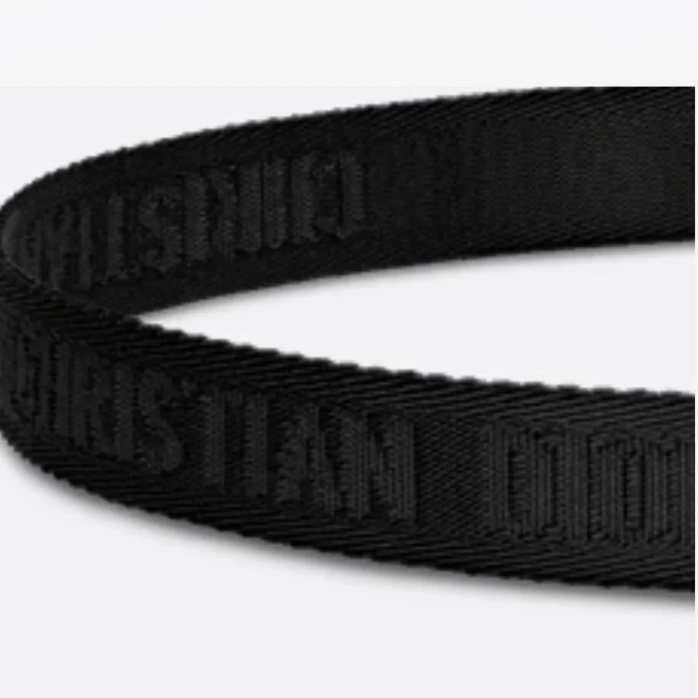 Dior stylish belt